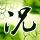 办理高仿林登州立学院文凭学位【degxx.com】